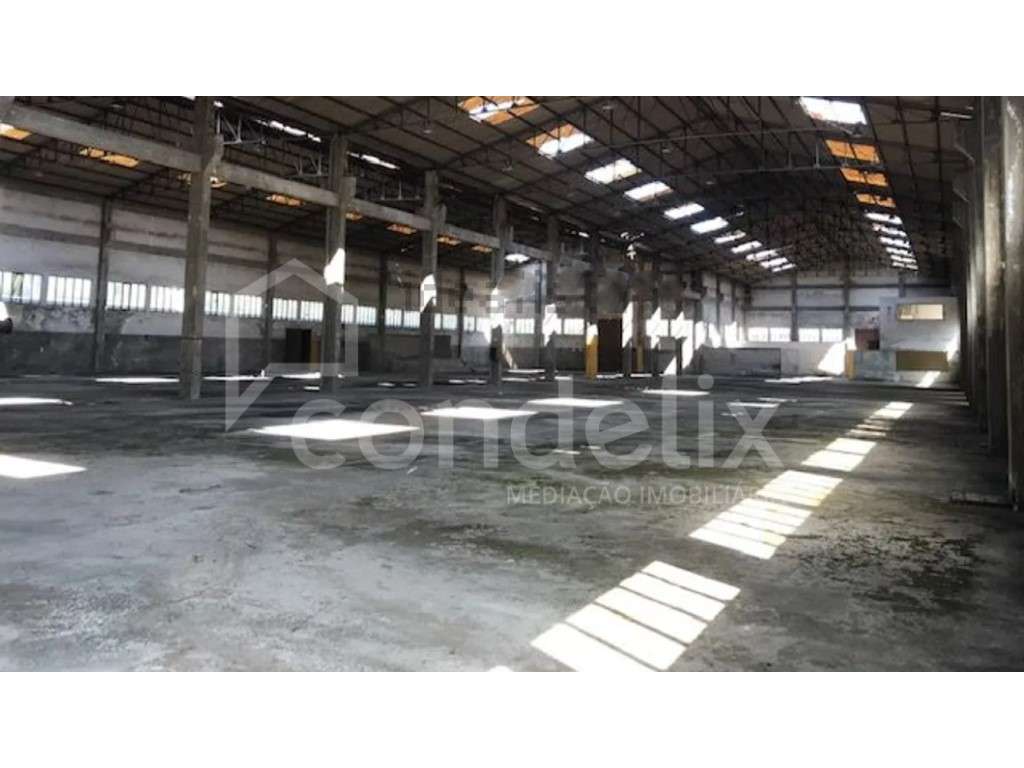 Armazém com 4436 m2 em Gondomar - Grande imagem: 4/10