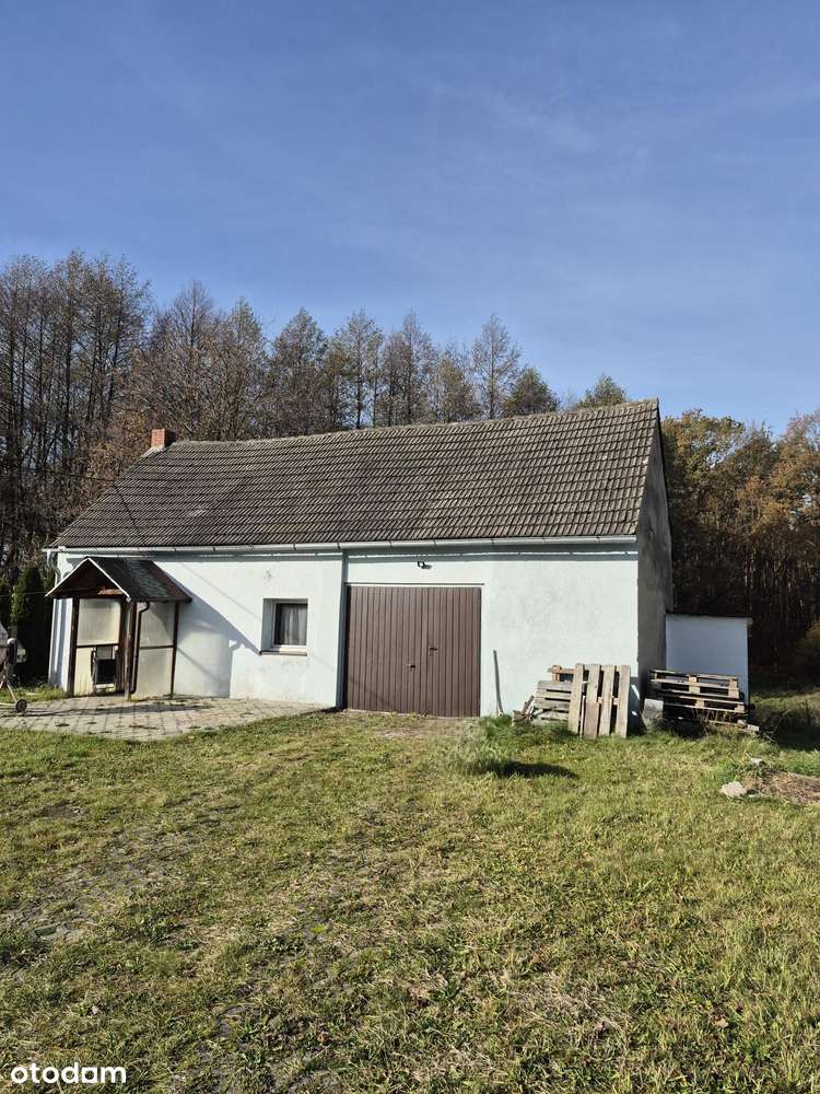 Mały biały domek-1