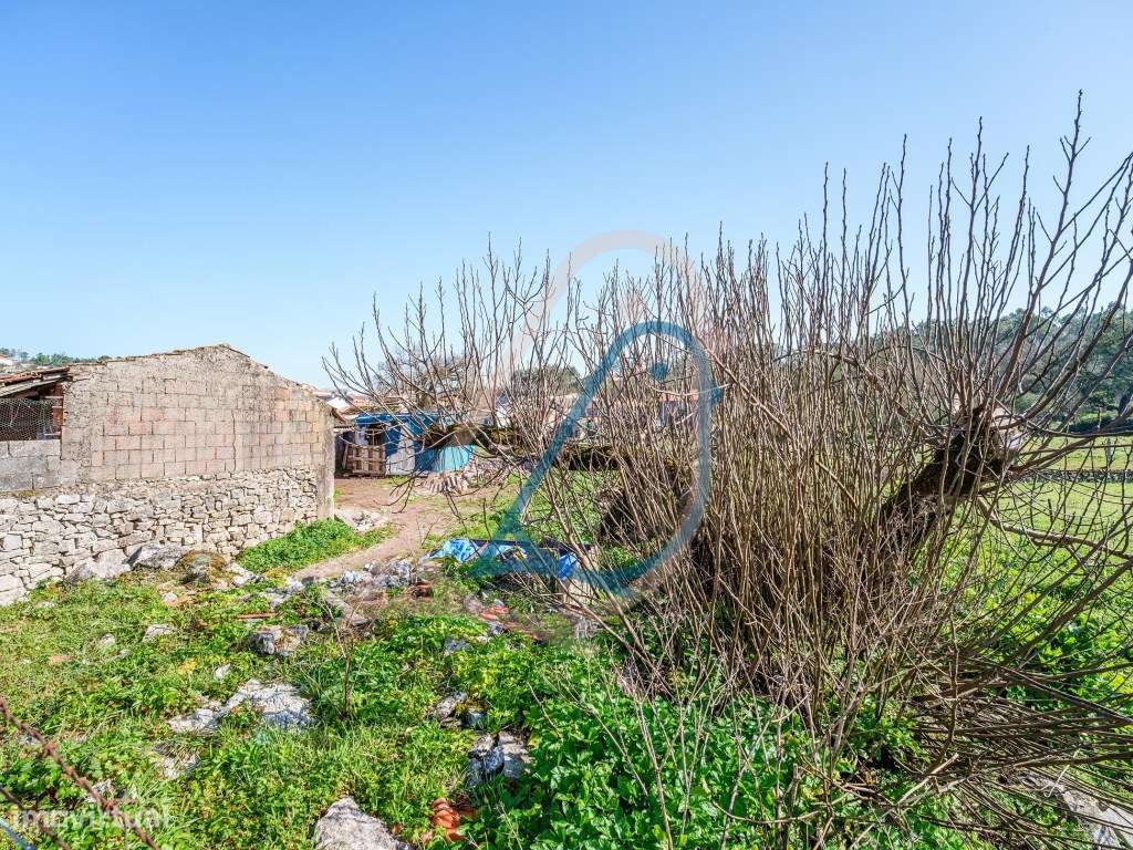 Moradia / Reconstrução / Venda / Fátima - Grande imagem: 5/20