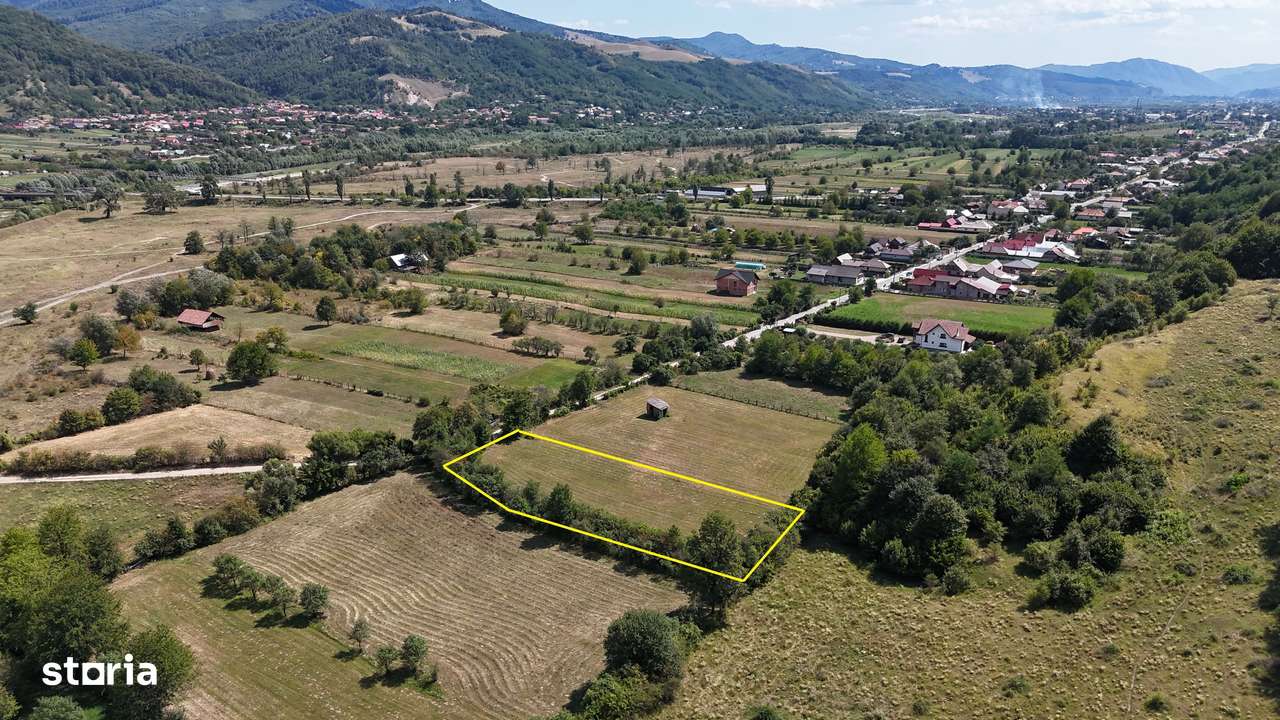 Teren superb de Vanzare in Darmanesti, Bacau - Imagine principală: 3/7