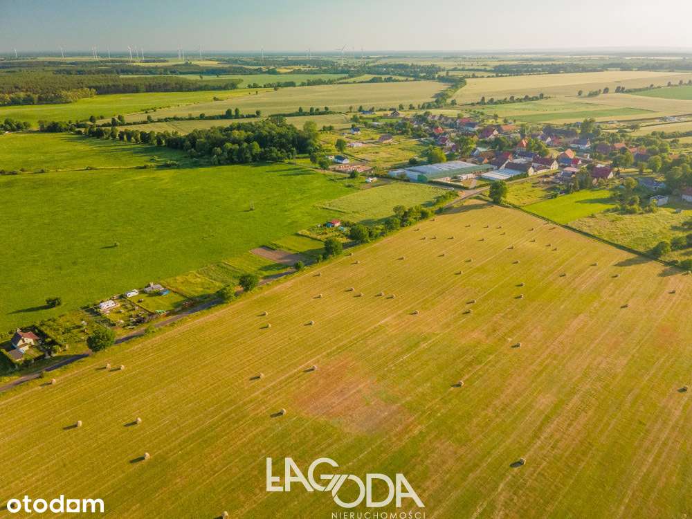 Duża działka budowlana w Świniarach. - Pełny obrazek: 5/5