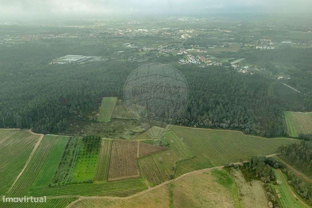 Terreno  para venda - Grande imagem: 2/16