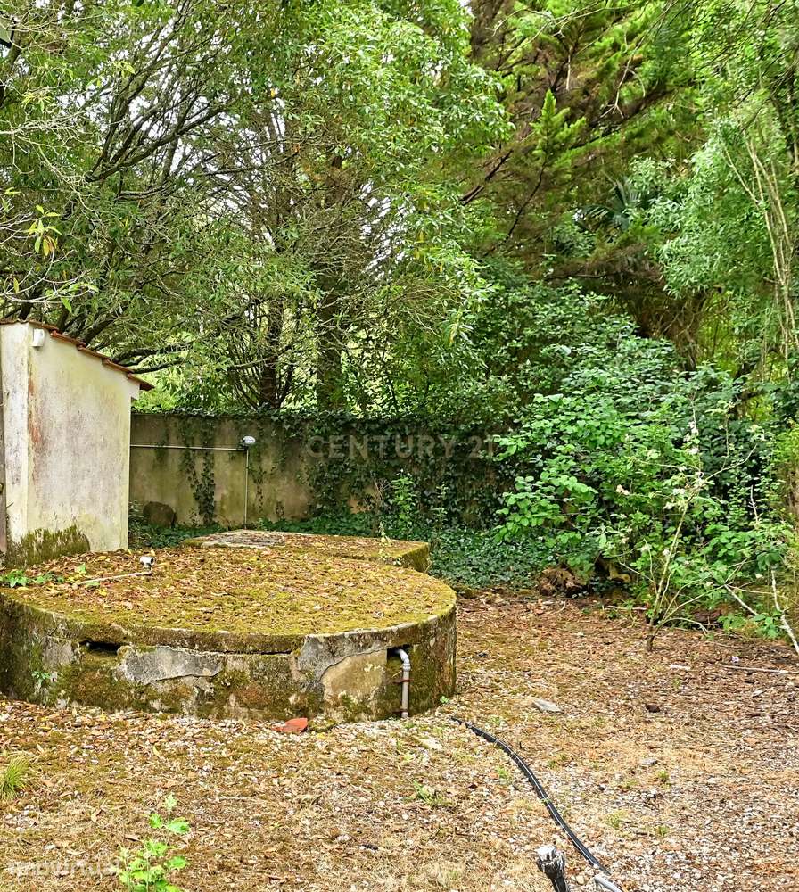 Quinta com 3200 m², LINHÓ - SINTRA-18