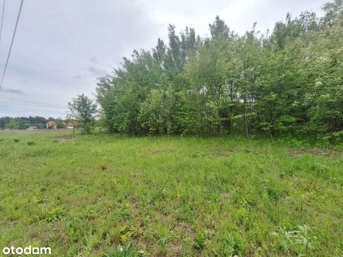 Twoje miejsce na dom marzeń/ Hryniewicze - Pełny obrazek: 4/5