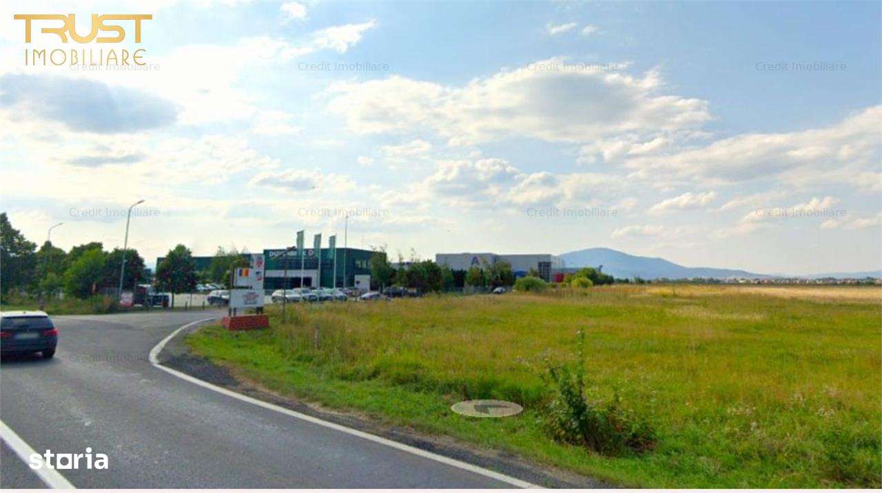 Teren intravilan l 5000 MP l Front stradal 77m - Imagine principală: 5/5