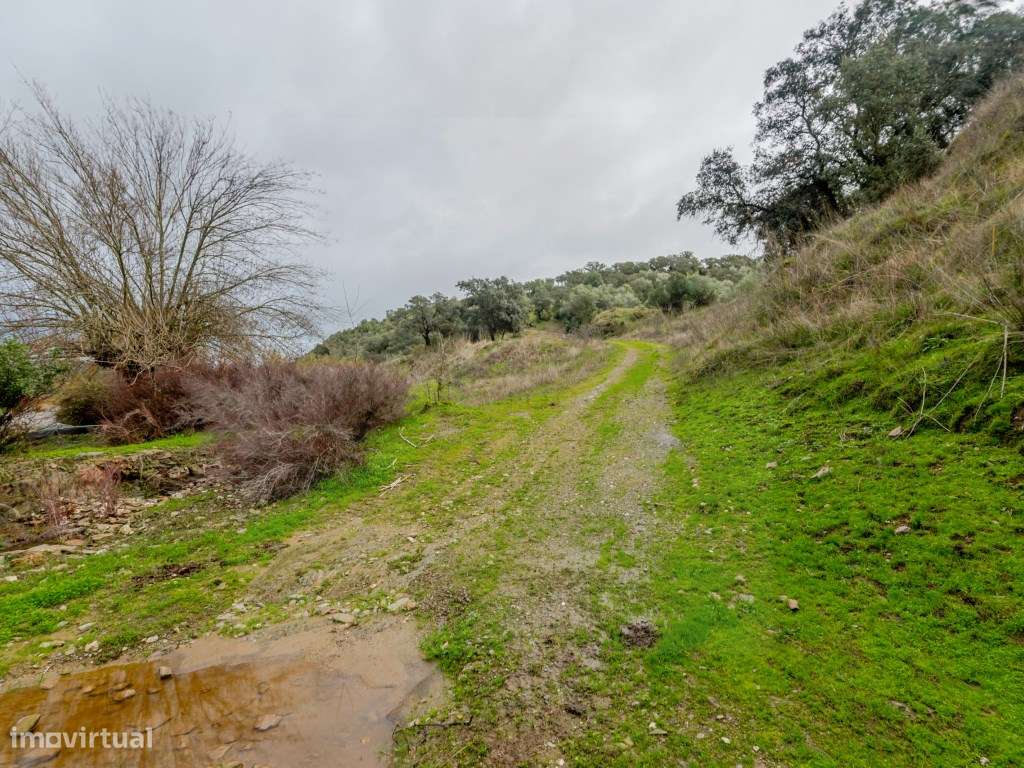 Quinta com quatro suítes e moínho, junto ao Rio Guadiana-18