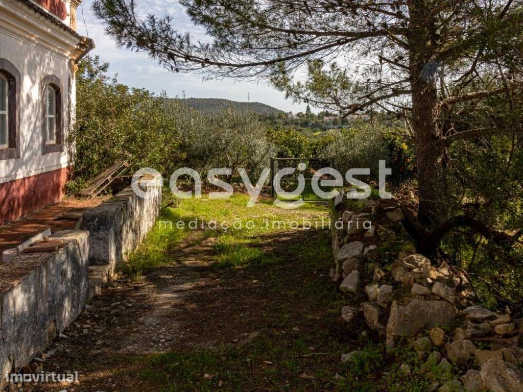 Terreno com 1 Ha e casa para recuperar a 5 minutos de Moncarapacho - Grande imagem: 3/32