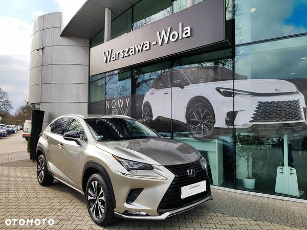 Lexus NX - 10