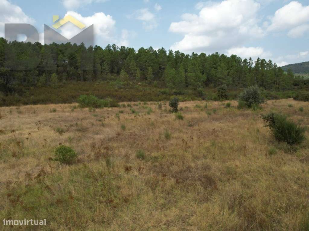 Quinta em Penamacor com 12.000m2 - Grande imagem: 4/5