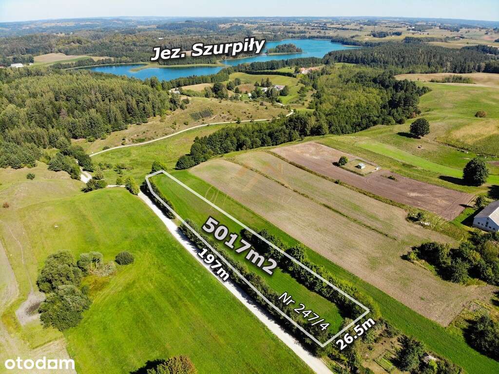 500 m od jeziora Szurpiły | Działka 5017 m² - Pełny obrazek: 2/8