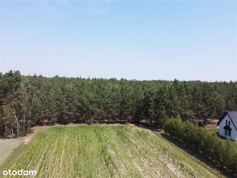 Działki budowlane na sprzedaż, Zosinki - Pełny obrazek: 4/15