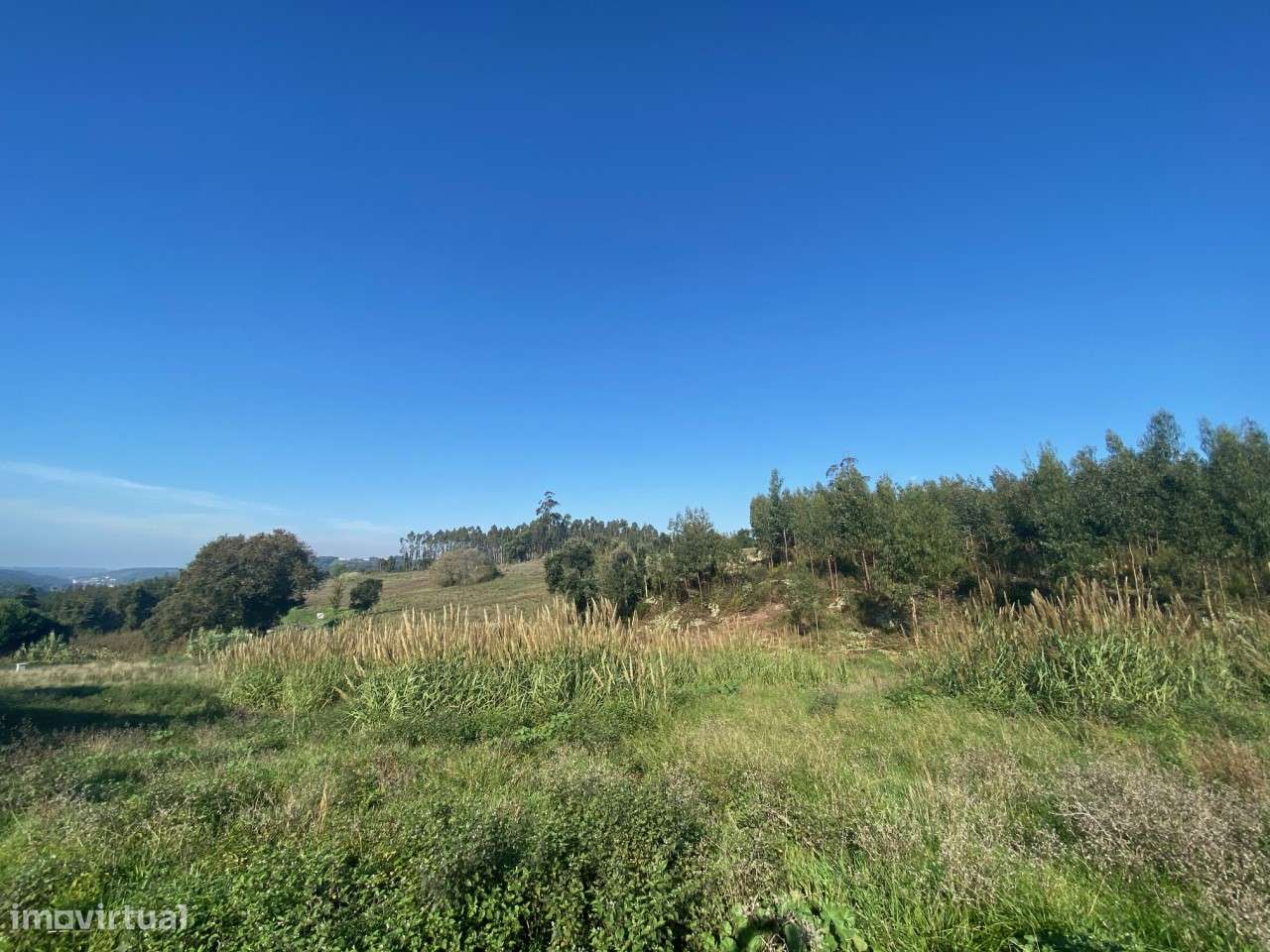 Terreno com 3.100 m2 - Vidais, Caldas da Rainha - Grande imagem: 4/6