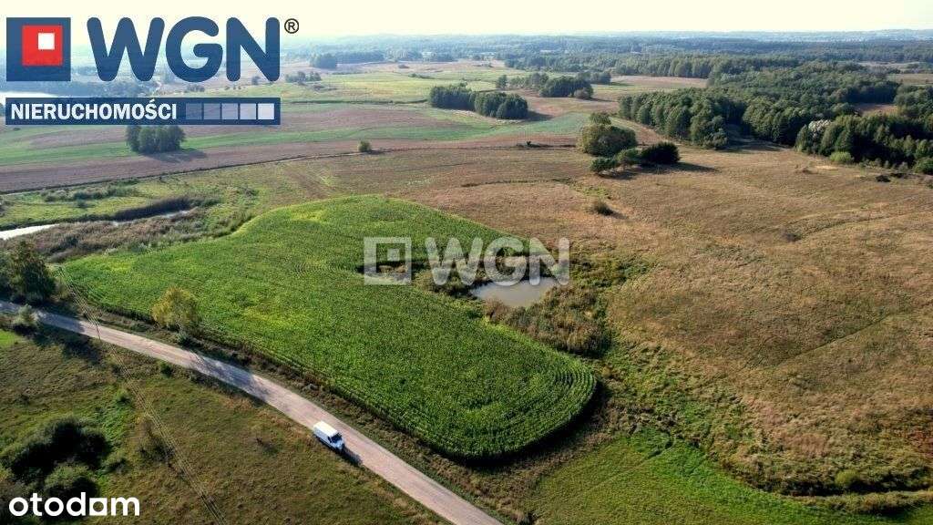 Działka blisko jeziora Mazury, Lepaki - Pełny obrazek: 5/18