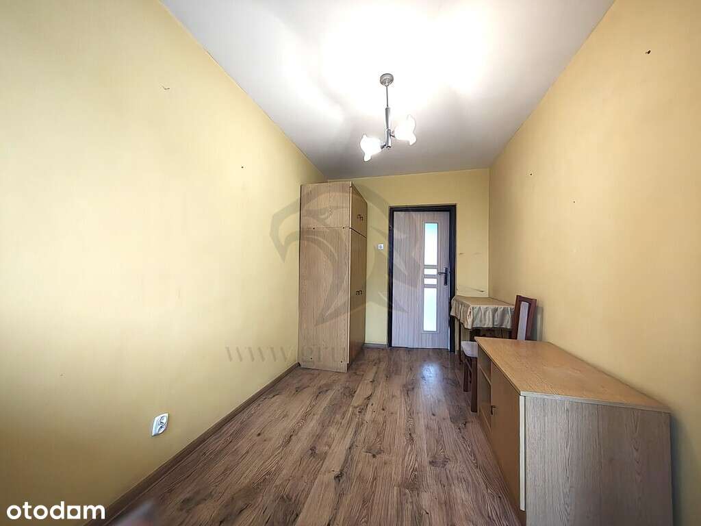 Uwaga! Tu skaczą Gumisie nie lokatorzy-19