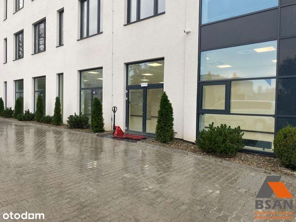 Na Wynajem Lokal Handlowo-Usługowy 257 Mkw. - Pełny obrazek: 5/10