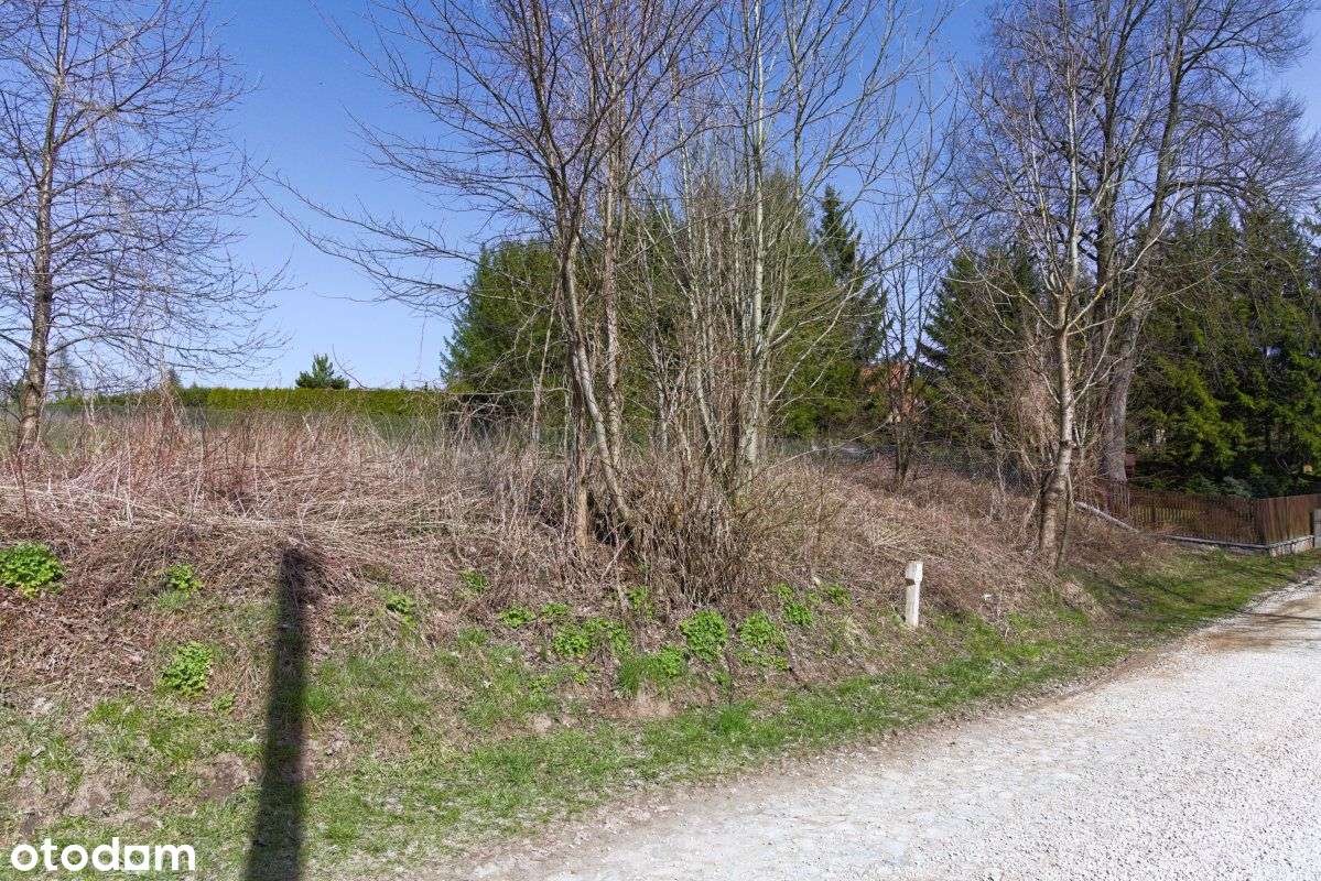 Działka z WZ na wzniesieniu nad jeziorem Lepaki Wielkie.-10