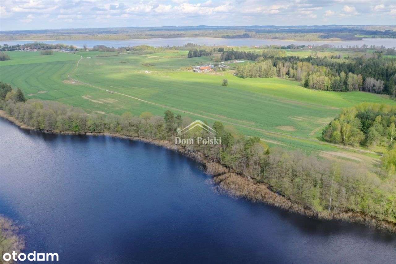 Puszcza Borecka - działka inwestycyjna 3,7 ha - Pełny obrazek: 5/16