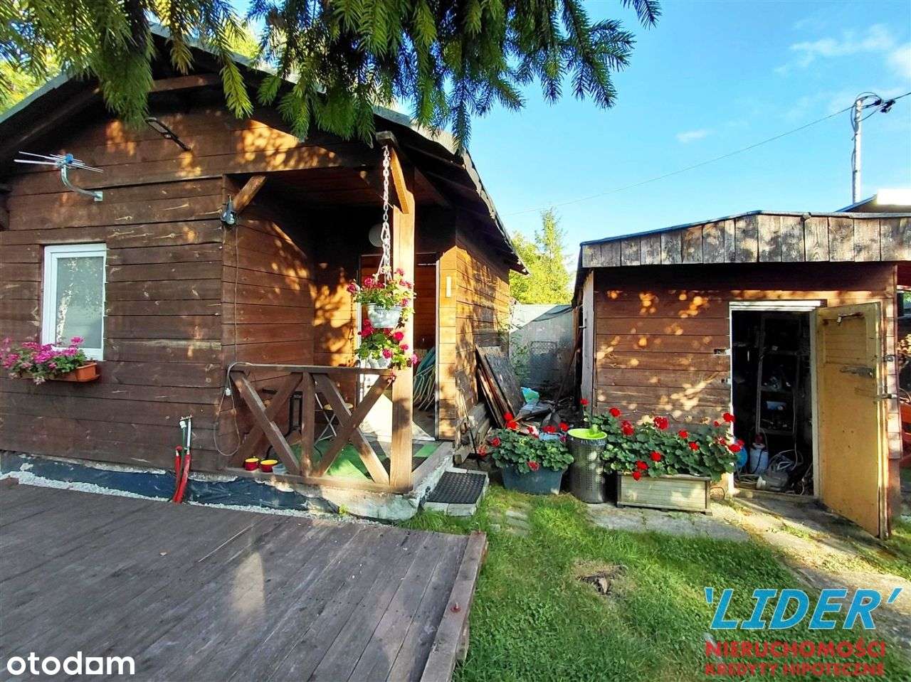 Ogródek działkowy na Rod Konwalia! - Pełny obrazek: 2/14