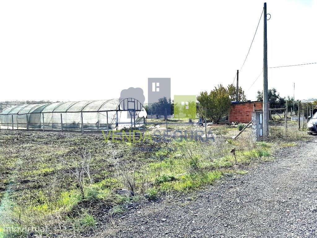 Terreno Rústico | Beringel | Beja - Grande imagem: 4/16