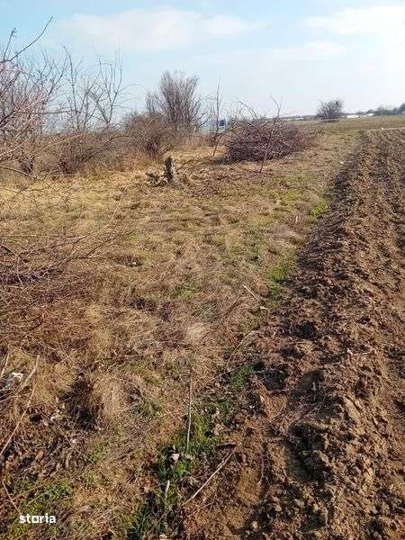 Teren intravilan copaceni, ilfov 1.200 m2 . - Imagine principală: 4/6