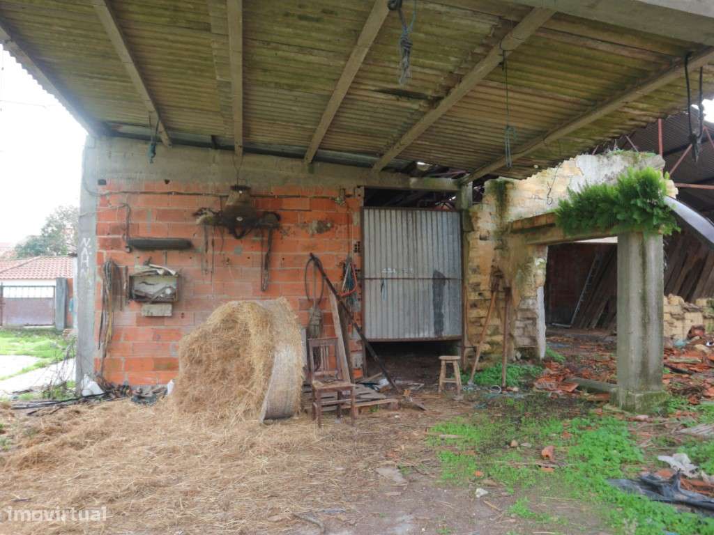 DOIS ARTIGOS - MURTOSA-6