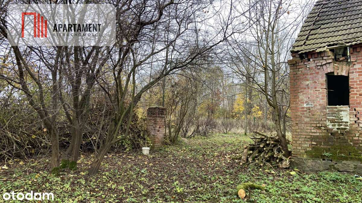 Duża działka z domem do odbudowy bądź rozbiórki - Pełny obrazek: 5/8