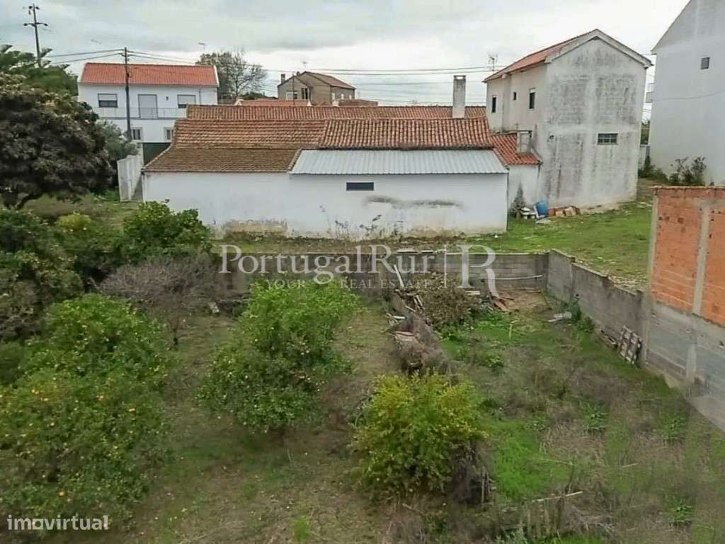Quinta com 13.000 m² e 3 Moradias no Cartaxo, Póvoa da Isenta-34