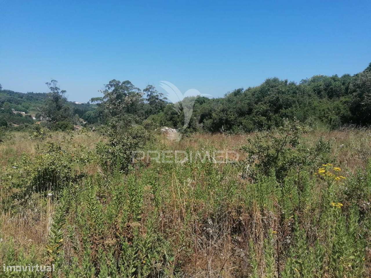 Terreno Rústico em Sobral Monte Agraço - Santo Quintino - Grande imagem: 5/16