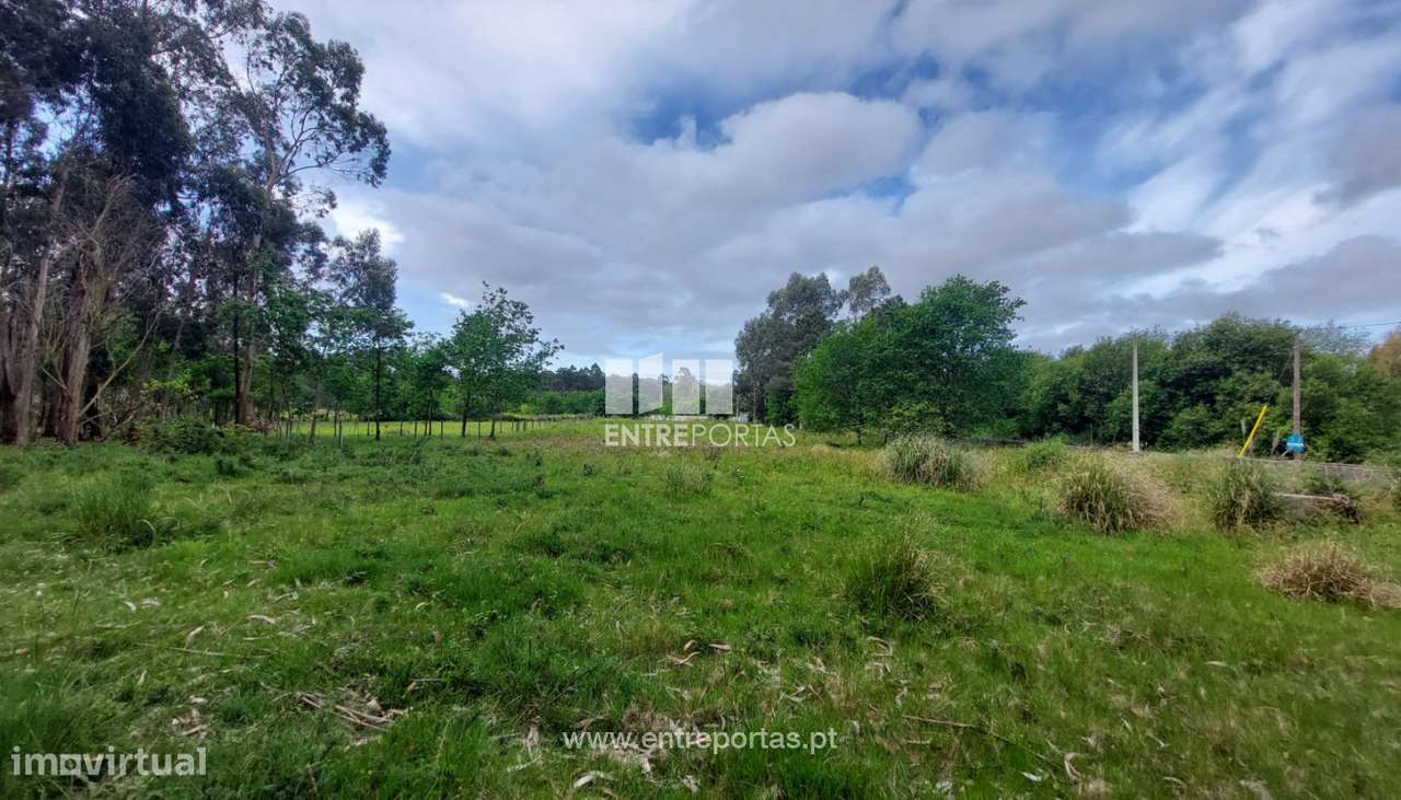 Venda de terreno agrícola com 6500m², Alvarães, Viana do Castelo - Grande imagem: 4/30