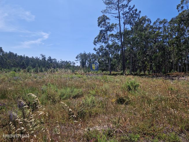 Terreno com 1.485m2 em Amor, Leiria, com viabilidade de construção de-2