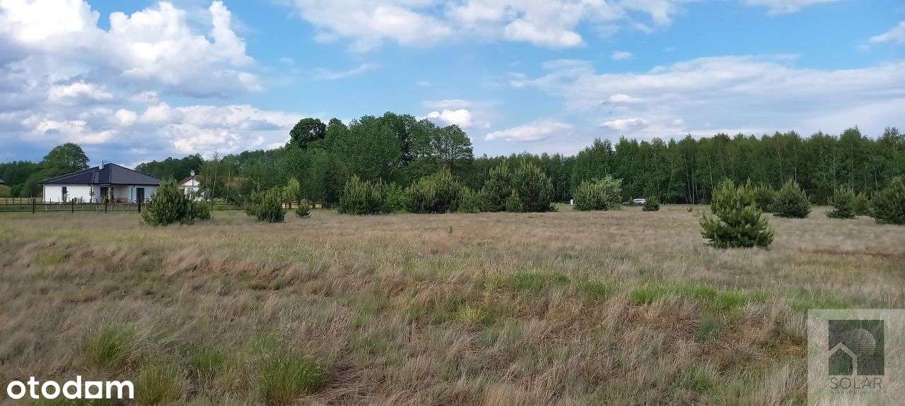 Wyjątkowe, 18km od Bydgoszczy, lokata kapitału! - Pełny obrazek: 3/6