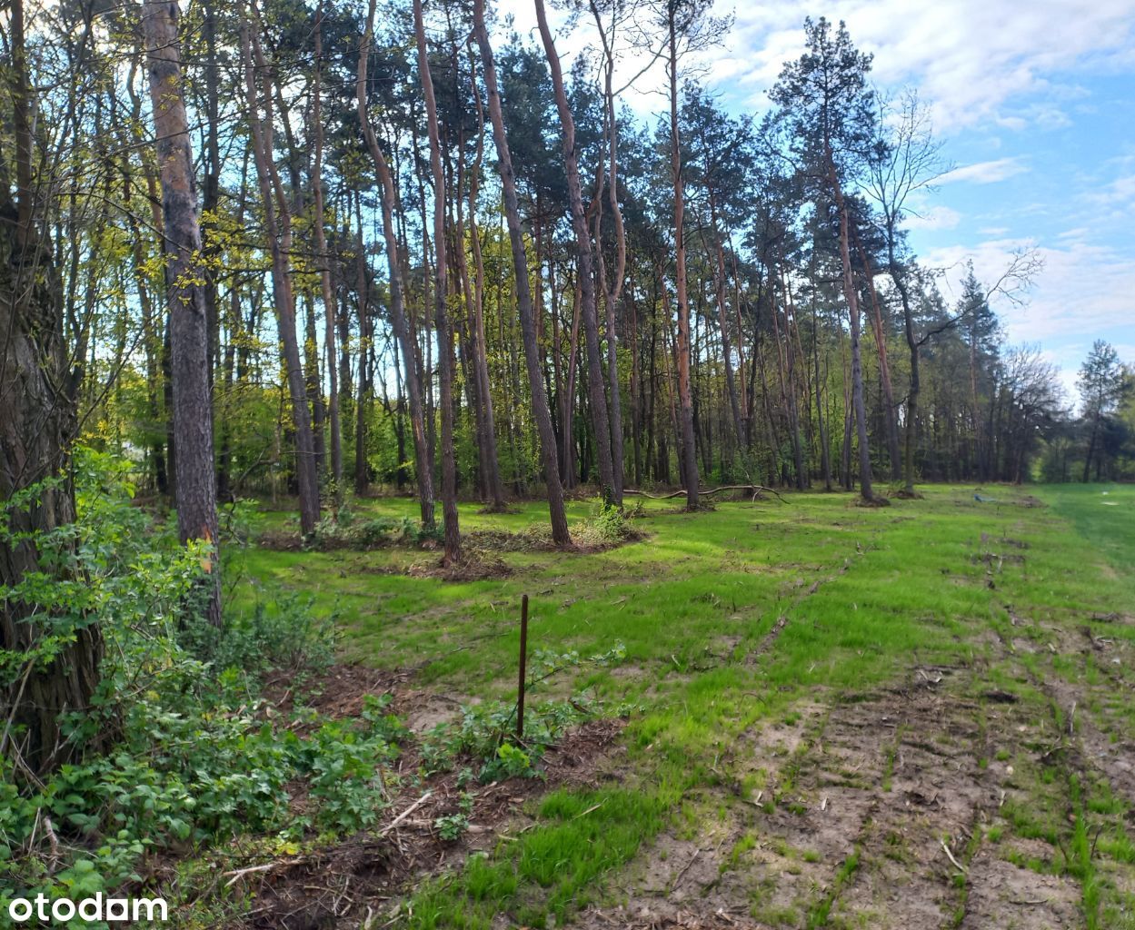 Działka budowlana 1230 mkw przy Mickiewicza, Mrozy