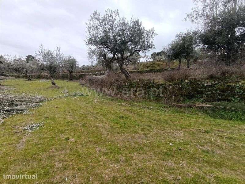 Terreno / Fundão, Martianas - Grande imagem: 3/20