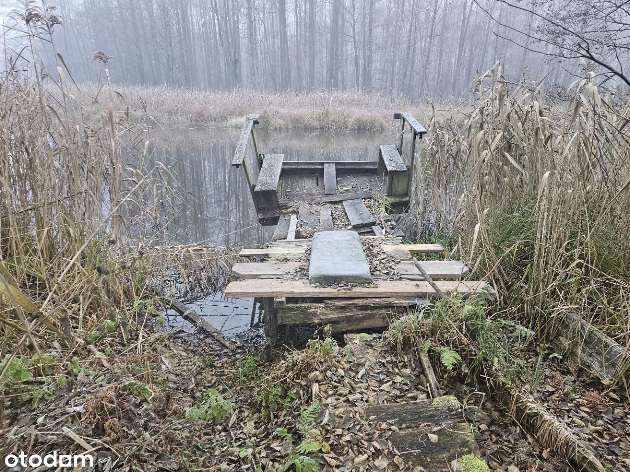 działka z linią brzegową szlaku krutyni