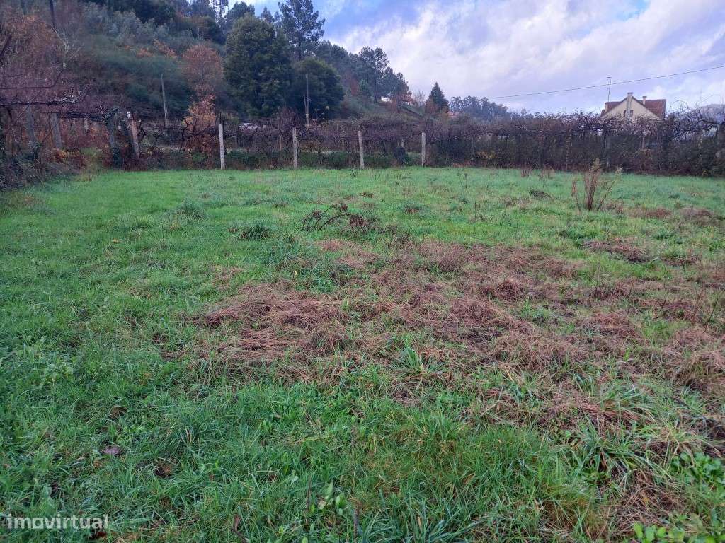 Terreno - Grande imagem: 5/6