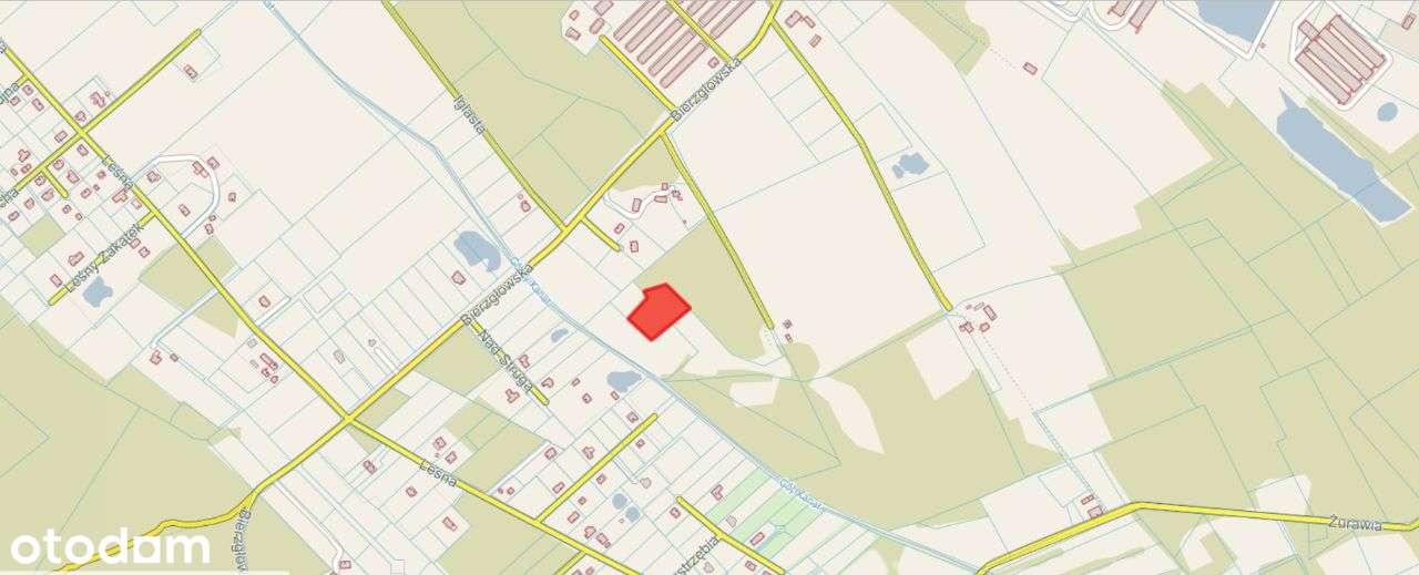 Wśród natury - las.. łąki.. i szybki dojazd do Torunia i Bydgoszczy-8