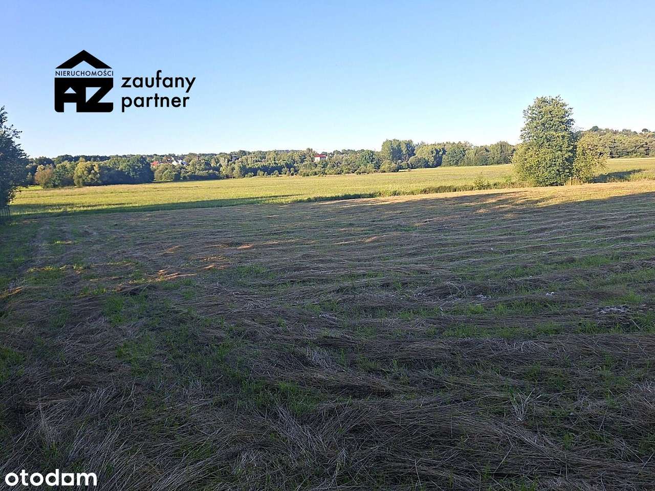 Działka budowlano rolna 1 km od granicy Krakowa - Pełny obrazek: 5/9