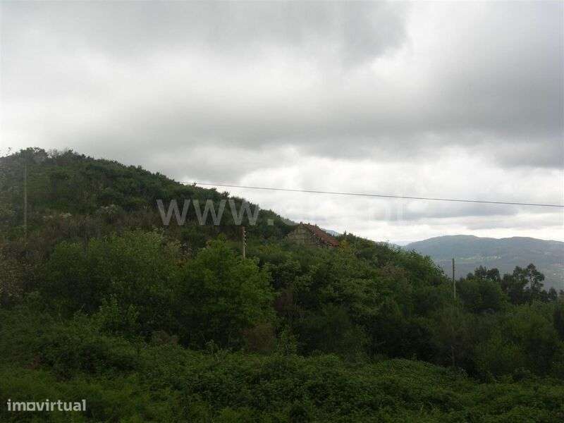 Quintinha / Marco de Canaveses, Penhalonga e Paços de Gaiolo - Grande imagem: 5/10