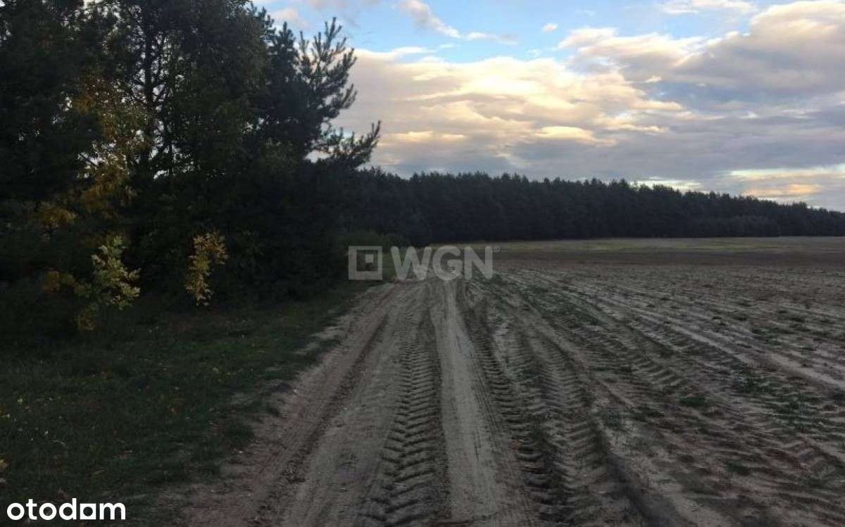 Działka, 24 000 m², Lgota Murowana - Pełny obrazek: 5/10