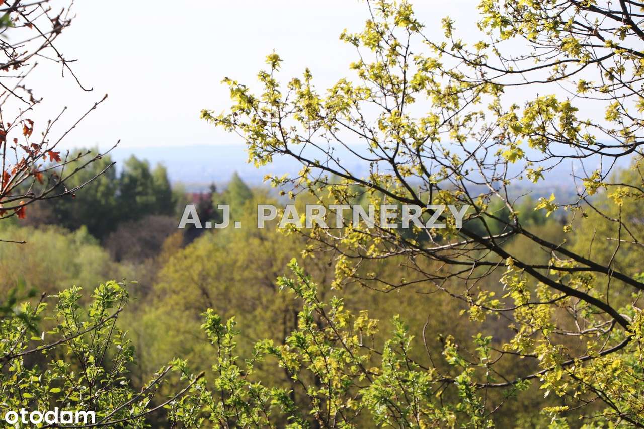 Widokowa działka w Lednicy k.Wieliczki-4
