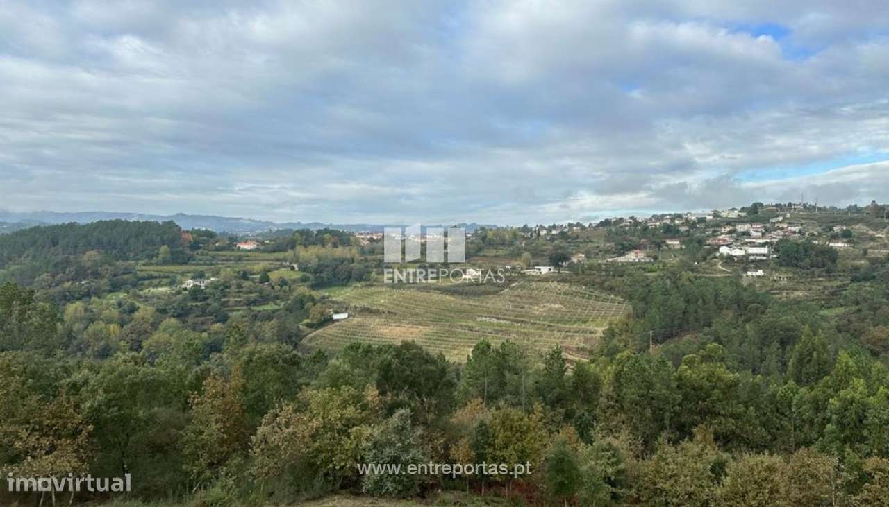 Venda Propriedade c/ 1 Moradia V3, Várzea de Ovelha, Marco de Canaves - Grande imagem: 4/29