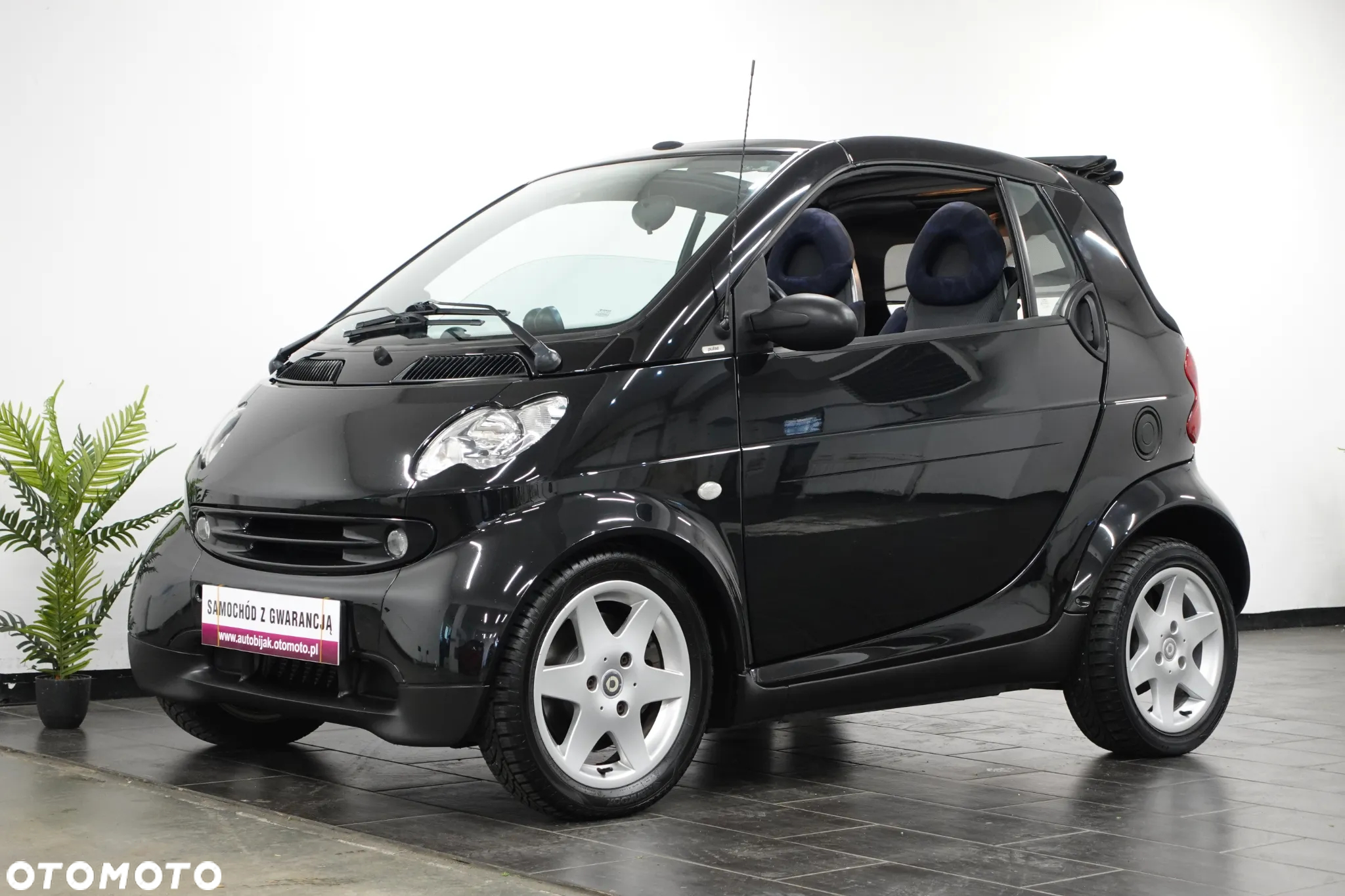 Smart Fortwo & pulse - 4
