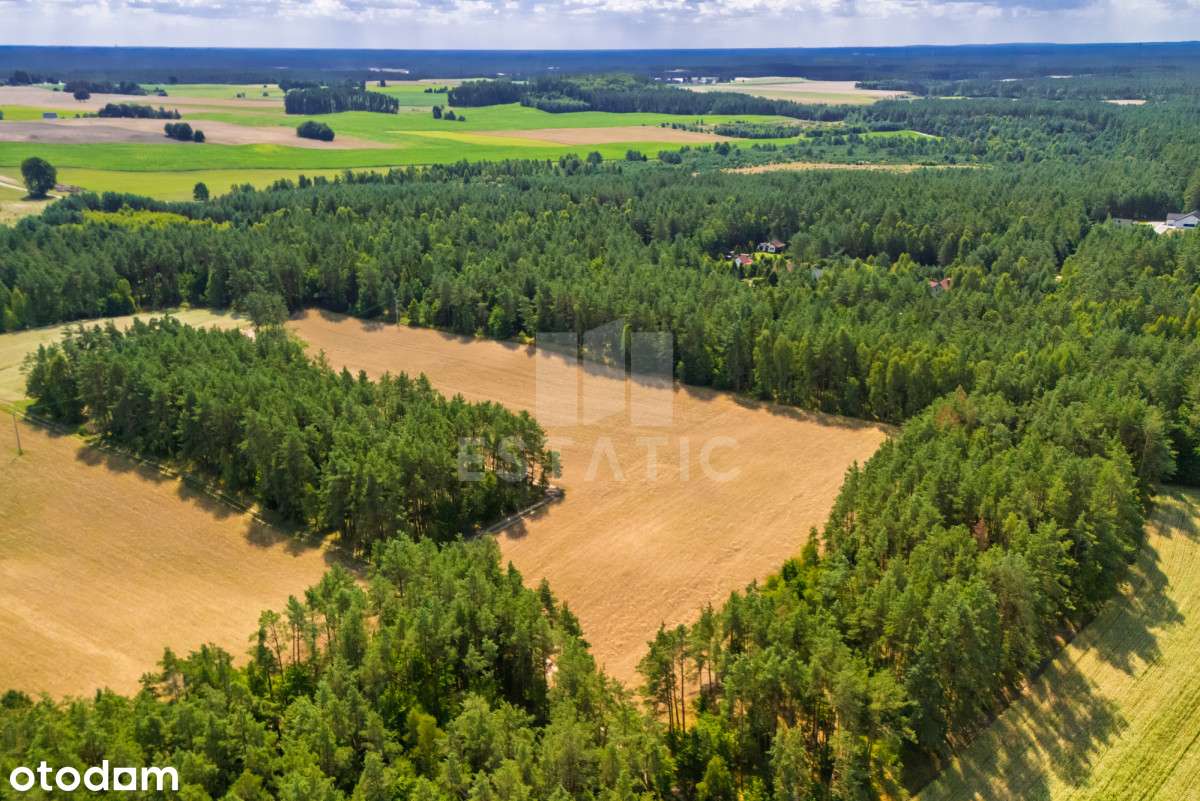 Kompleks 14 działek budowlanych w Niesiołowicach - Pełny obrazek: 5/6