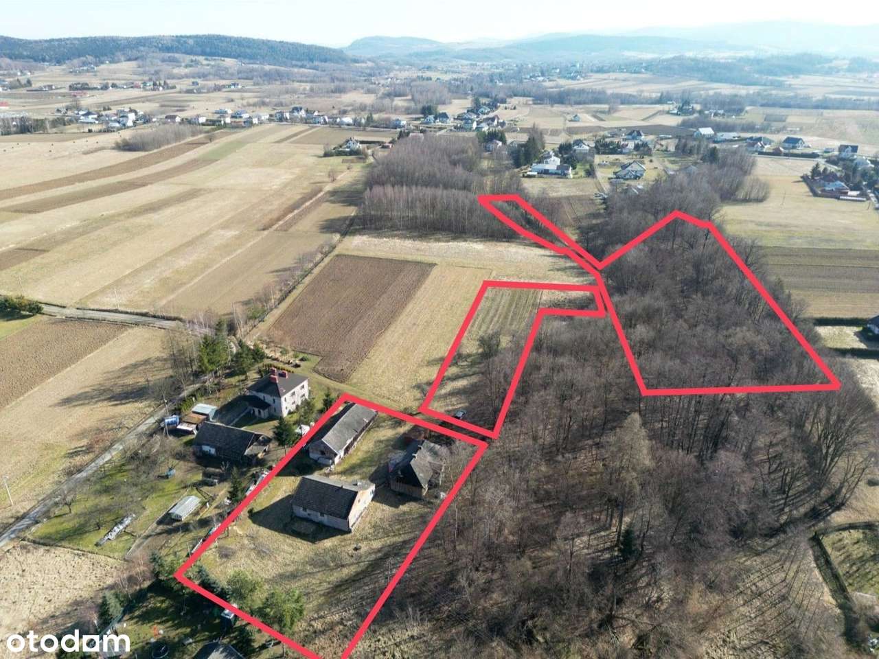 Gospodarstwo z własnym lasem – 1,25 ha spokoju i możliwości-6