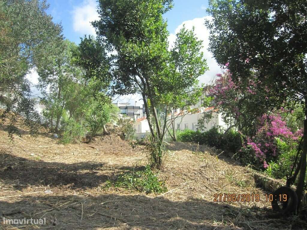Terreno  c/ 10.000 M2 na Figueira da Foz-12