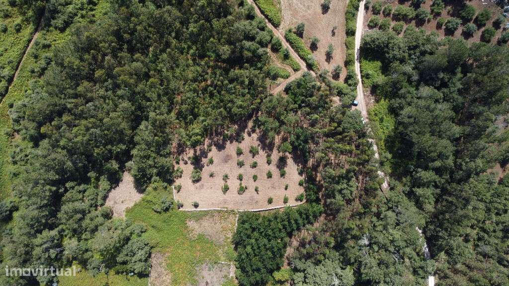 Venda Terreno - Grande imagem: 5/16