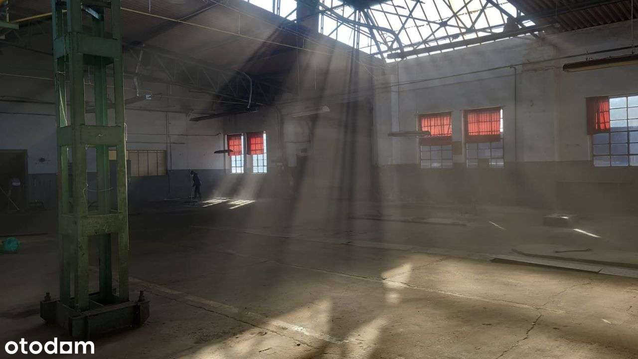 Kompleks hal magazynowych! NOWA CENA!!! - Pełny obrazek: 4/18