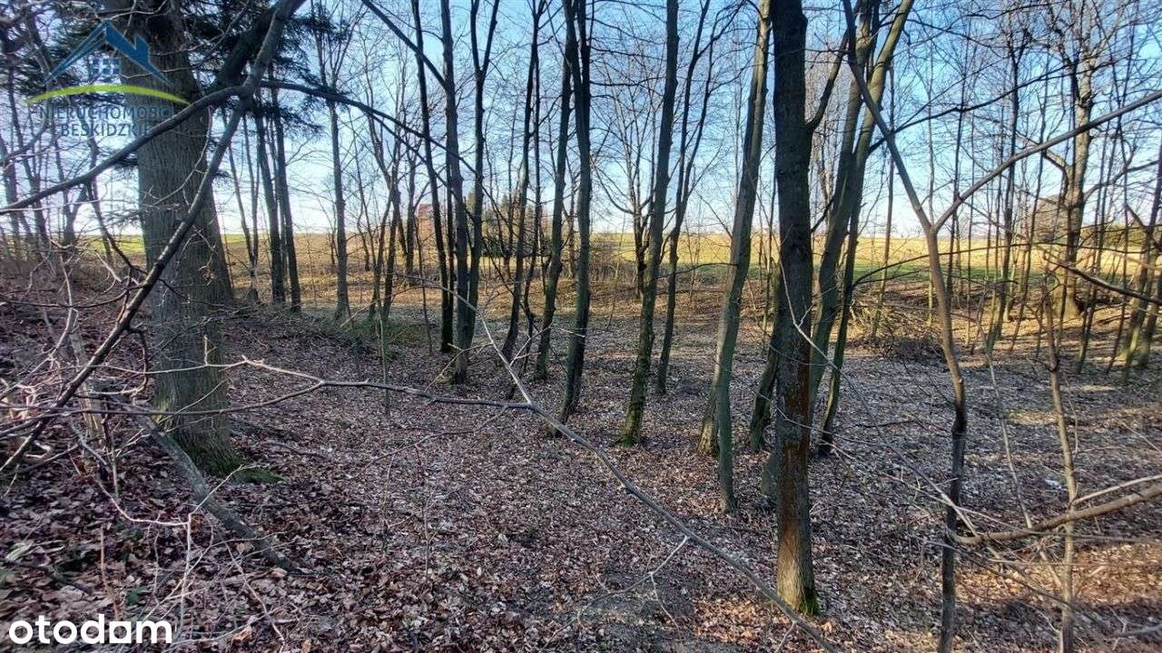 9700m2 w Ustroniu - prywatność, przestrzeń, widoki-8