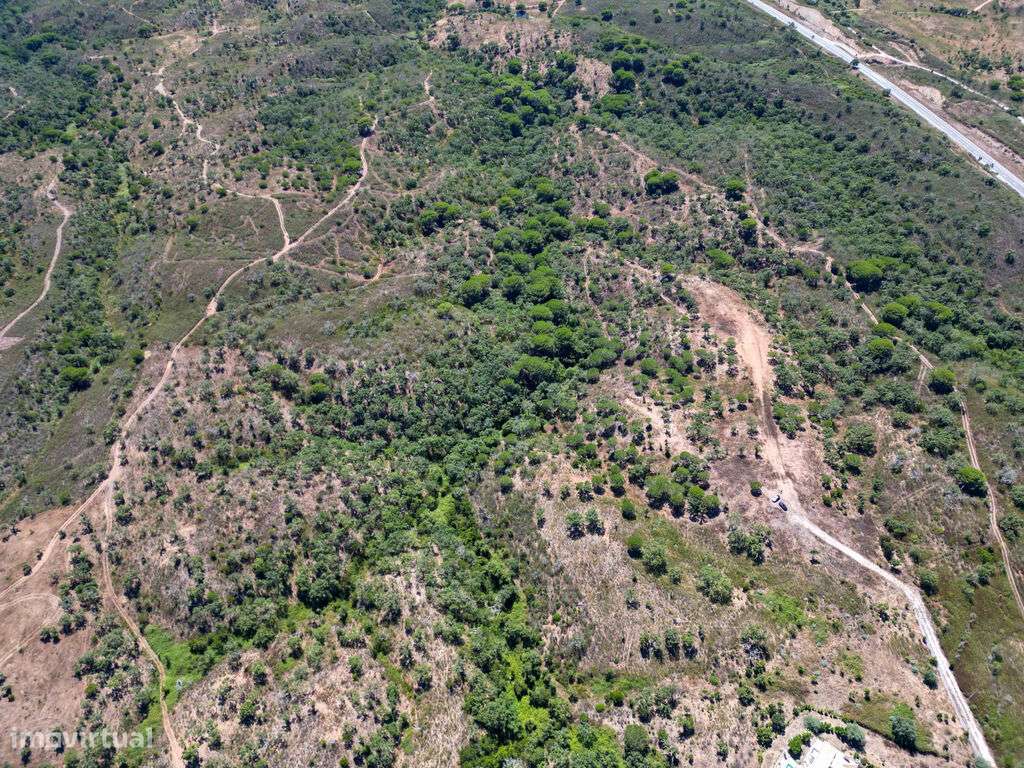 Terreno Urbano de 6.200m2 com projeto aprovado - Grande imagem: 5/13