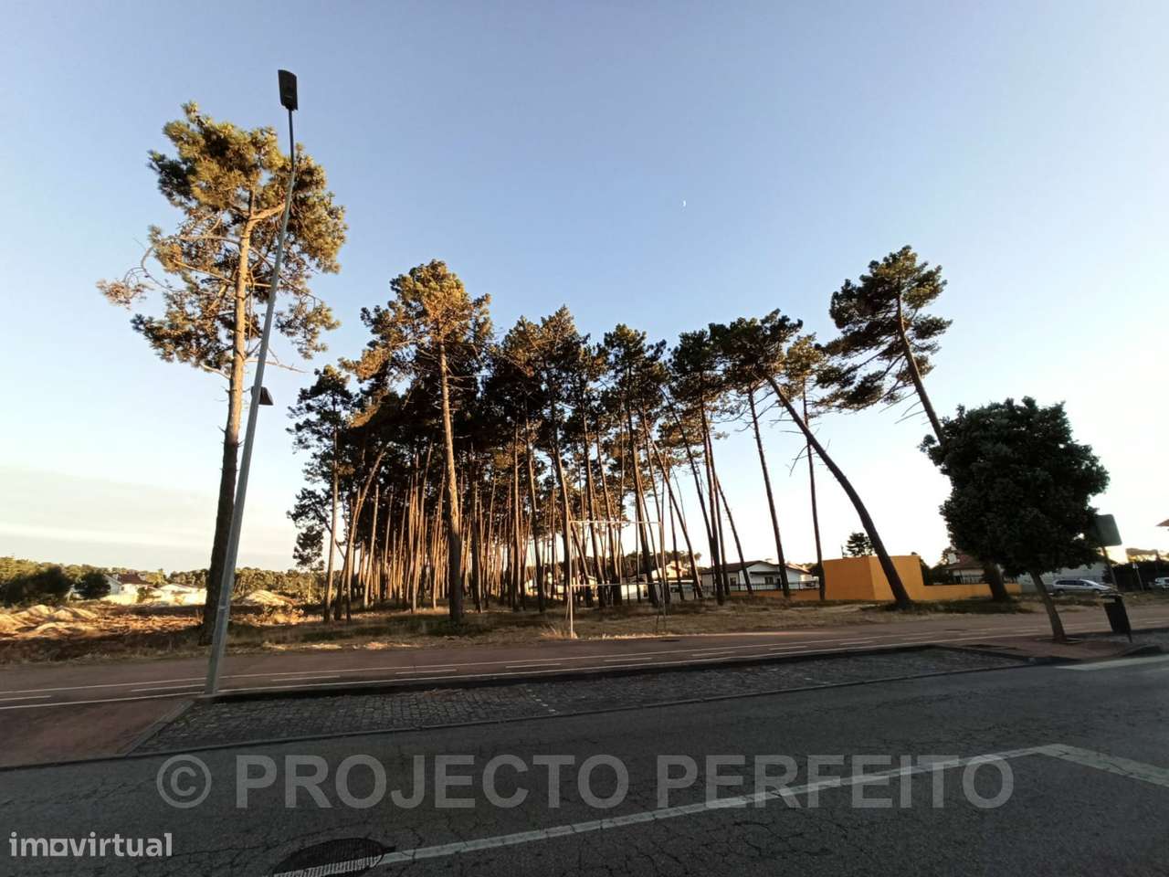 Terreno Rústico  Venda em Esmoriz,Ovar - Grande imagem: 5/6